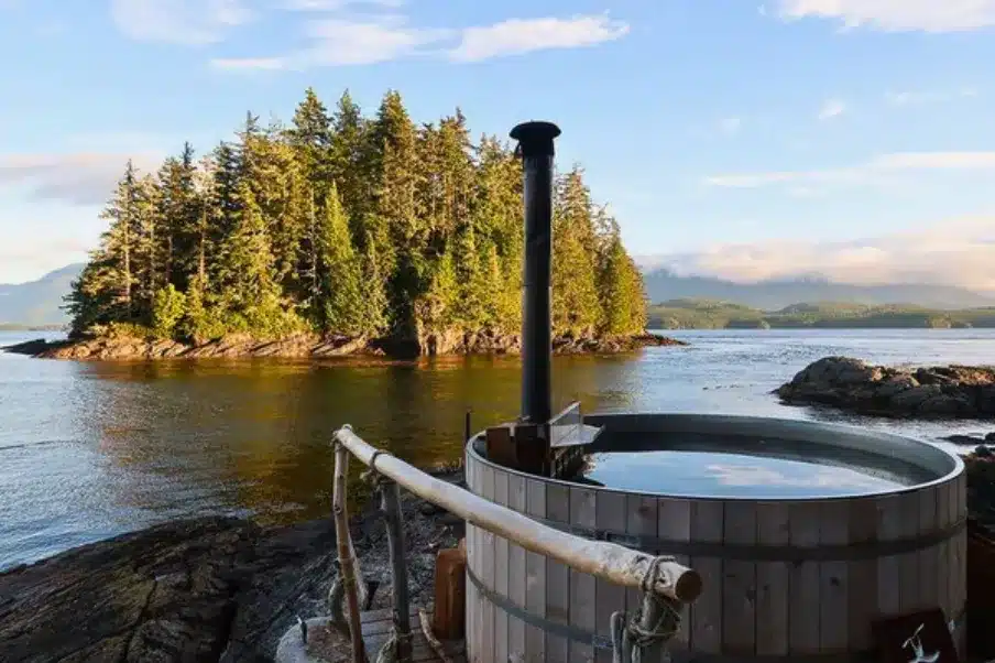 Hot Tub, Spa ou Jacuzzi : Quelles Différences ? Lequel Choisir en 2026 3 bain nordique bois ou électrique